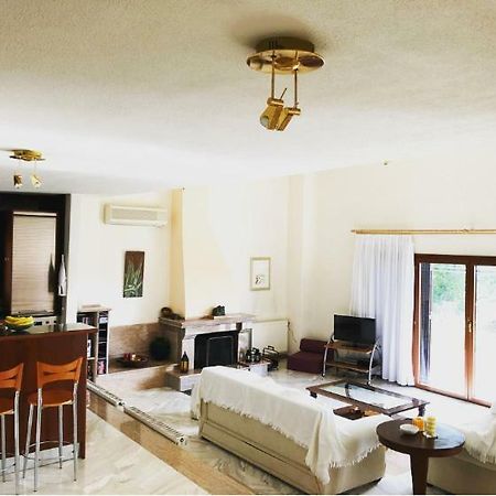 Bright & Spacious Seaview Villa Siviri Luaran gambar