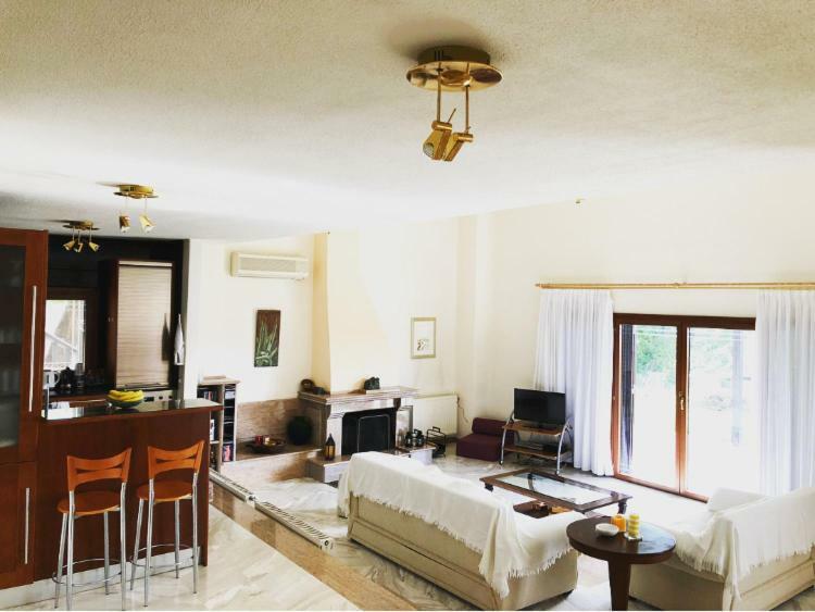 Bright & Spacious Seaview Villa Siviri Luaran gambar