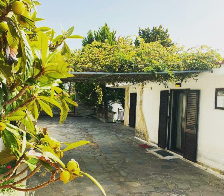 Bright & Spacious Seaview Villa Siviri Luaran gambar